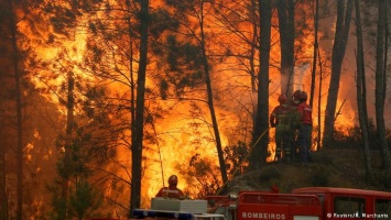 Лесные пожары в Европе охватывают новые регионы