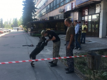 В центре Запорожья под легковушкой общественницы искали взрывчатку (Фото)