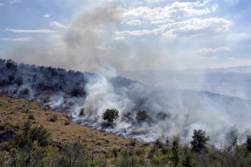 Хорватия и Черногория охвачены лесными пожарами