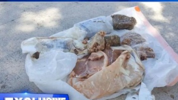 В США на крышу частного дома сбросили 7 кг мяса (видео)