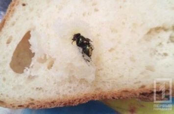 Криворожанин нашел в хлебе зеленую муху
