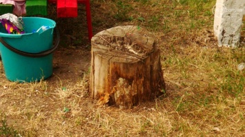 В Мариуполе построили детскую площалку на месте спиленного дерева (ФОТО)
