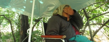 В одесском парке брошенная сыном старушка-инвалид ночует под открытым небом (ФОТО, ВИДЕО)