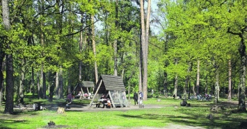 Официальные зоны для пикника в Киеве (список)