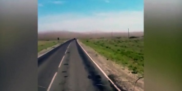 В Дагестане засняли гигантское облако мигрирующей саранчи
