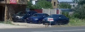 Под Одессой российские туристы снимают со своих автомобилей номера (ФОТО)