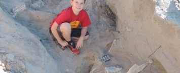 Маленький мальчик нашел череп стегомастодонта