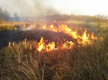 В Днепропетровской области объявлен 5 класс пожарной опасности
