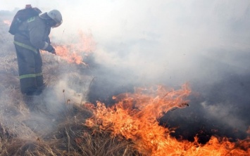 На Павлоградщине спасатели не дали огню сжечь пшеничное поле и лесной массив
