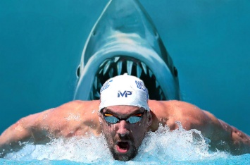 Лучший пловец мира посоревновался в скорости с белой акулой