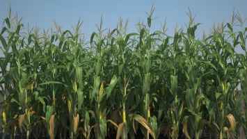 BioWare рекламирует Anthem при помощи кукурузного поля