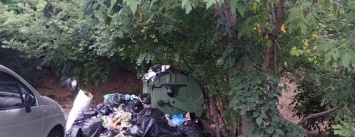 Возле одесского пляжа выросла гора зловонного мусора (ФОТОФАКТ)