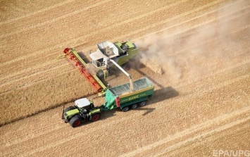 Украина и Аргентина станут партнерами-аграриями