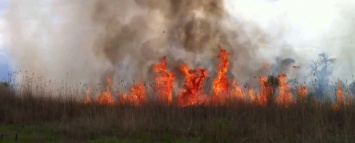 В Мирнограде горела сухая трава