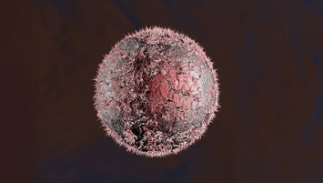 Биологи превратили куркуму в наночастицы, убивающие рак