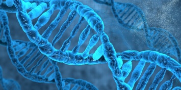 Солнцезащитный крем на основе ДНК научили эволюционировать