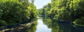 Санврачи области не рекомендуют купаться в реке Псел