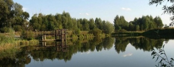 В Черниговском районе в пруду утонул 14-летний подросток