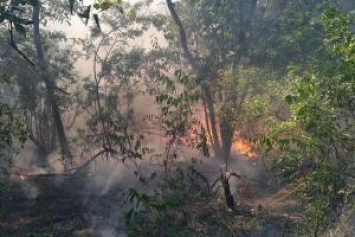 На территории Национального заповедника Хортица вспыхнул пожар