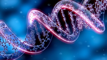 СМИ: ученые в США впервые модифицировали ДНК человеческого эмбриона