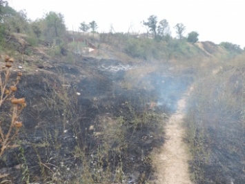 В Мелитополе произошел масштабный пожар (фото)