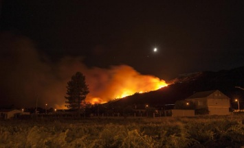 В Испании из-за лесных пожаров эвакуировали жителей 10 городов