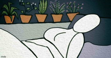 6 растений для спальни, которые помогут вам уснуть как младенец
