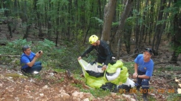 Крымский парапланерист приземлился на 25-метровое дерево