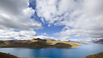 Российские ученые нашли следы глобального потепления в тибетских кедрах