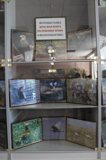 Выставка «Красная Книга в фотообъективе» открылась в Симферополе