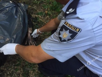 Служебный пес нашел труп жителя Одесской области, которого убил друг