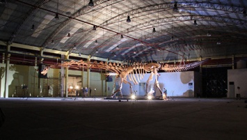 Палеонтологи откопали в Аргентины динозавра размером с "Боинг-737"