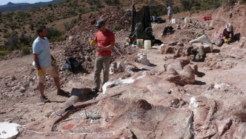 В Аргентине нашли останки динозавра, который был тяжелее Boeing