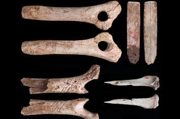 Ученые: Древние каннибалы вырезали узоры на костях своих жертв