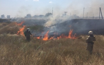 Вчера на Херсонщине зафиксировали рекордное количество возгораний на открытых территориях