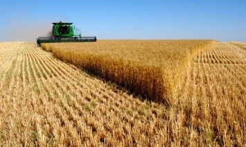 Украина в этом году экспортировала уже почти 4 млн тонн зерна