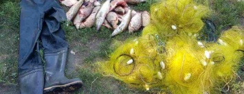 Под Кременчугом браконьеры ловили рыбу в государственном заказнике (ФОТО)