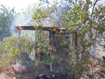 На Николаевщине в дачном поселке выгорели 4,5 гектара