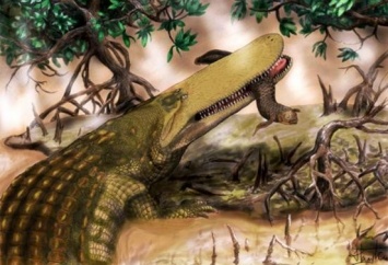 Ученые дали необычное имя "самому отвратительному" доисторическому крокодилу (ФОТО)