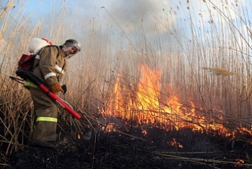 В Бердянске сохраняется пожароопасная погода