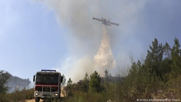 На Корсике и в Португалии тушат лесные пожары