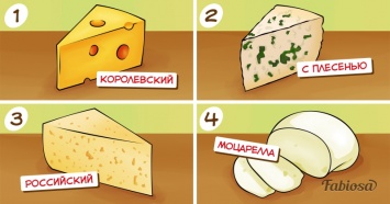 Выберите сыр и узнайте, насколько вы гурман!