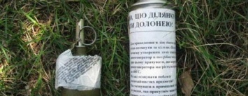 «Джентельменский набор» киевского дачника на Черниговщине: конопля и граната