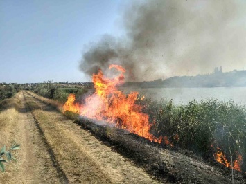 «Огненный шторм» прошелся Николаевщиной: на выходных пожары бушевали в каждом районе области