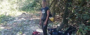 В Луганской области задержали нелегальных лесорубов