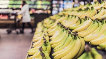 В бананах из супермаркета обитают опасные пауки