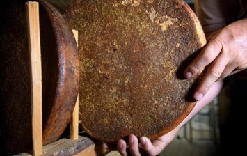 В Швейцарии нашли 142-летнюю головку сыра