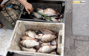 Стихийные рынки Николаева переполнены рыбой из потенциально опасных водоемов