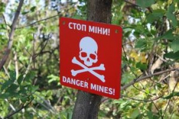 В Донбассе на мине подорвался ребенок