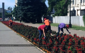 В Павлограде школьникам, которые летом работали, подарят флешки и грамоты